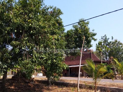 Kabel PLN Lepas, Warga Was-Was Bahayakan Warga